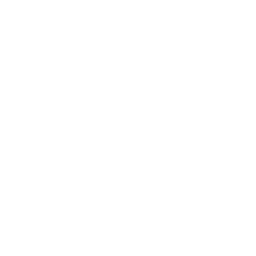 Holistic